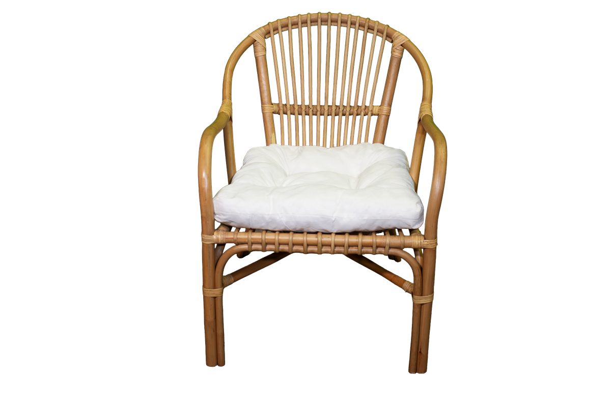 Fauteuil Sango – Image 3